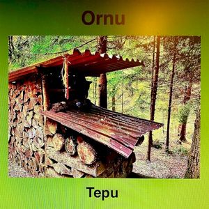 Tepu