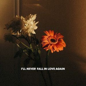 I'll Never Fall in Love Again (Single)
