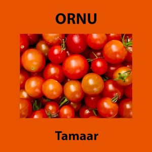 Tamaar