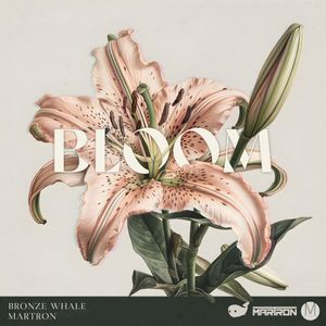 Bloom (Single)