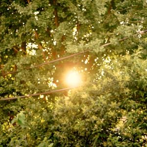 本を閉じたら (Single)