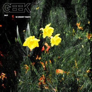 Geek (Single)