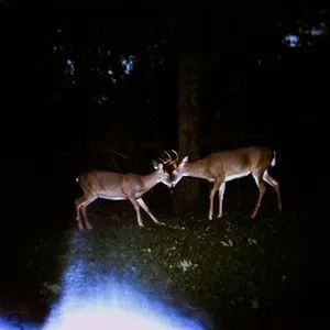 Back to Back (Single)