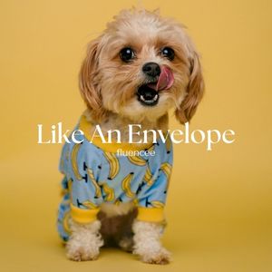 Like an Envelope (Single)