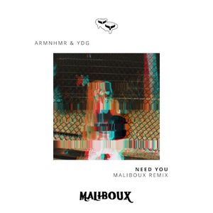 Need You - The Remixes