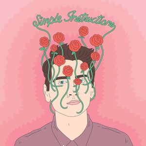 Simple Instructions (Single)