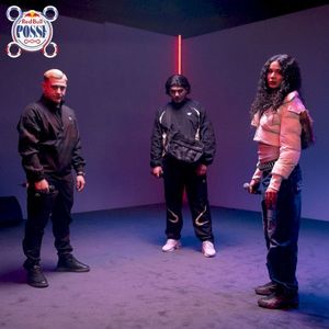 Io non tornerò - Red Bull Posse (Single)