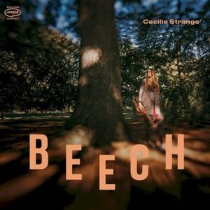 Beech