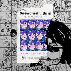SNØWCR4SH N' BURN (Single)