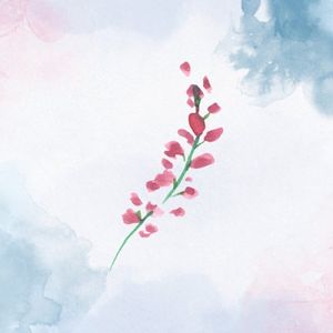 Laughter & Disaster (Single)