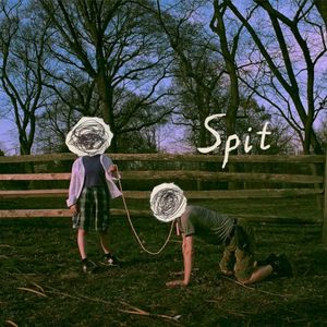Spit
