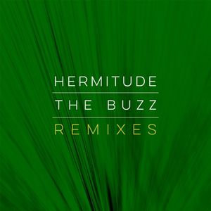 The Buzz (PACES remix)