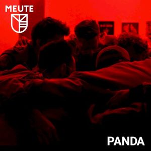 Panda (Single)