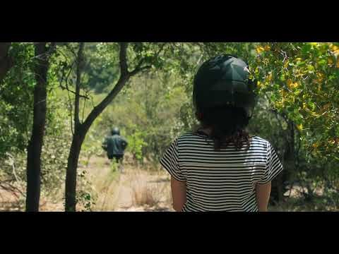 Bande-annonce de La práctica
