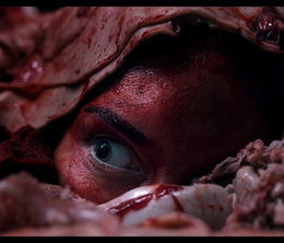 image-https://media.senscritique.com/media/000023088899/0/abattoir.png