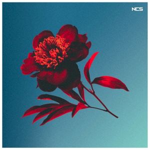 Freefall (Single)