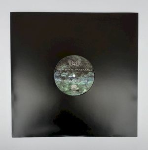 Transition/Intuition (Single)