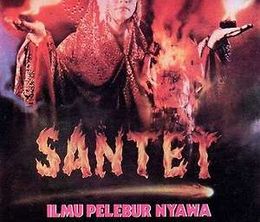 image-https://media.senscritique.com/media/000023090874/0/santet.jpg