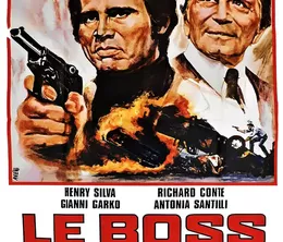 image-https://media.senscritique.com/media/000023092009/0/le_boss.webp