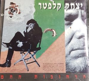 הרחובות ההם