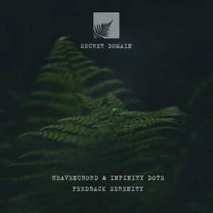 Feedback Serenity