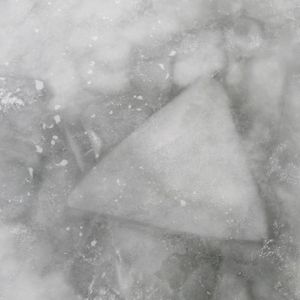chasing (Single)
