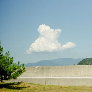 Oscillate