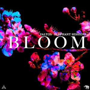 Bloom (Single)