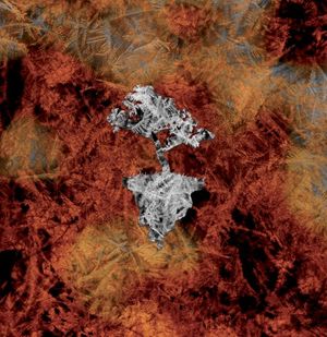 Shuriken Shock / Blossom (Single)