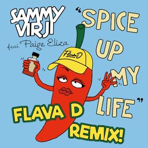Spice Up My Life (Flava D remix) (EP)
