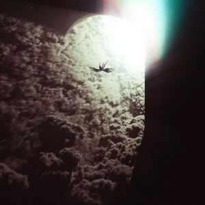 Fire Cleanse (Single)