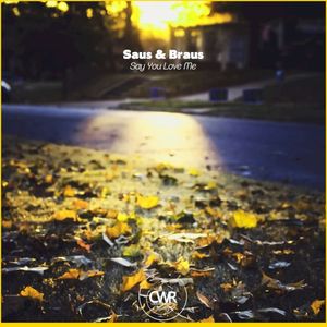 Say You Love Me (EP)