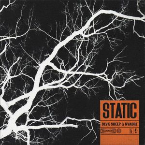 Static (Single)