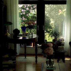 Not Forever (Single)