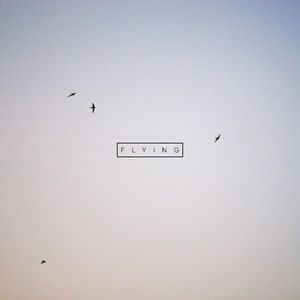 Flying (Single)