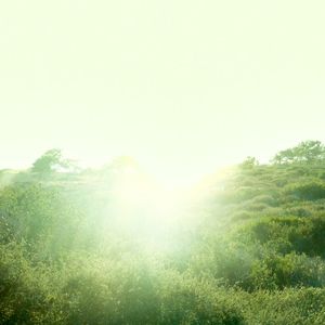 insecurities (Single)