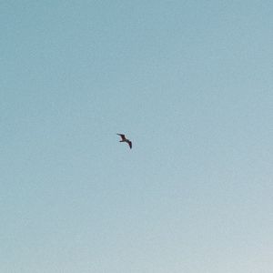 Figure out Yourself (Single)