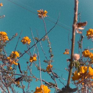 It Isn't Always Easy (Single)