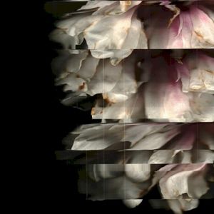 ITIIITIATIIHYLIHYL (Single)