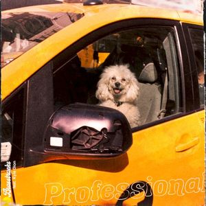 Professional (Single)