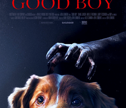 image-https://media.senscritique.com/media/000023104779/0/good_boy.png