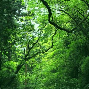 Hayama Ambient 016 (Single)