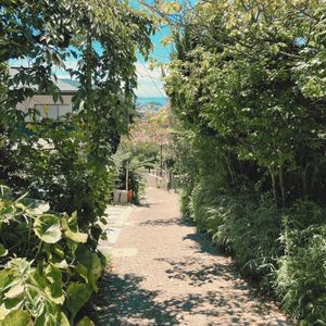 Hayama Ambient 047 (Single)