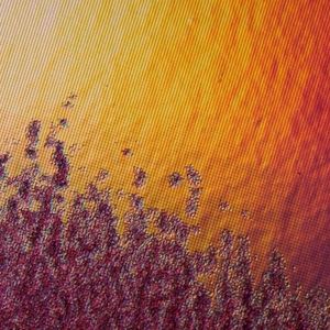 i don’t feel the same (Single)