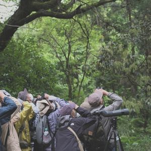 Hayama Ambient 045 (Single)