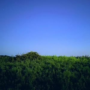 Hayama Ambient 036 (Single)
