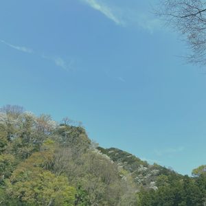 Hayama Ambient 032 (Single)