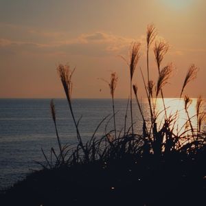Hayama Ambient 026 (Single)