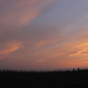 Hayama Ambient 011 (Single)