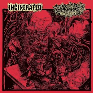Incinerated / Hallucination Realized (EP)